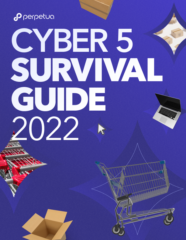 The Cyber 5 Survival Guide (2022)