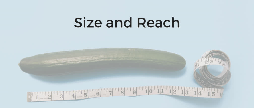 Size-and-Reach