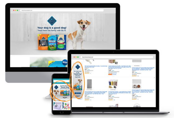 Amazon_Advertising_DSP_Display_Ads