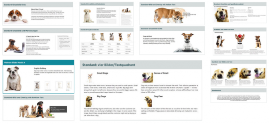 Amazon-A-Content-Module-Optionen-1024x474