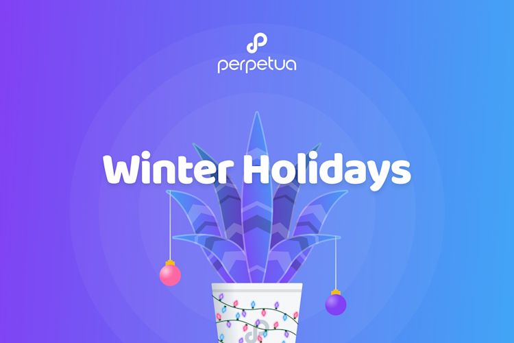 blog banner-winter holidays