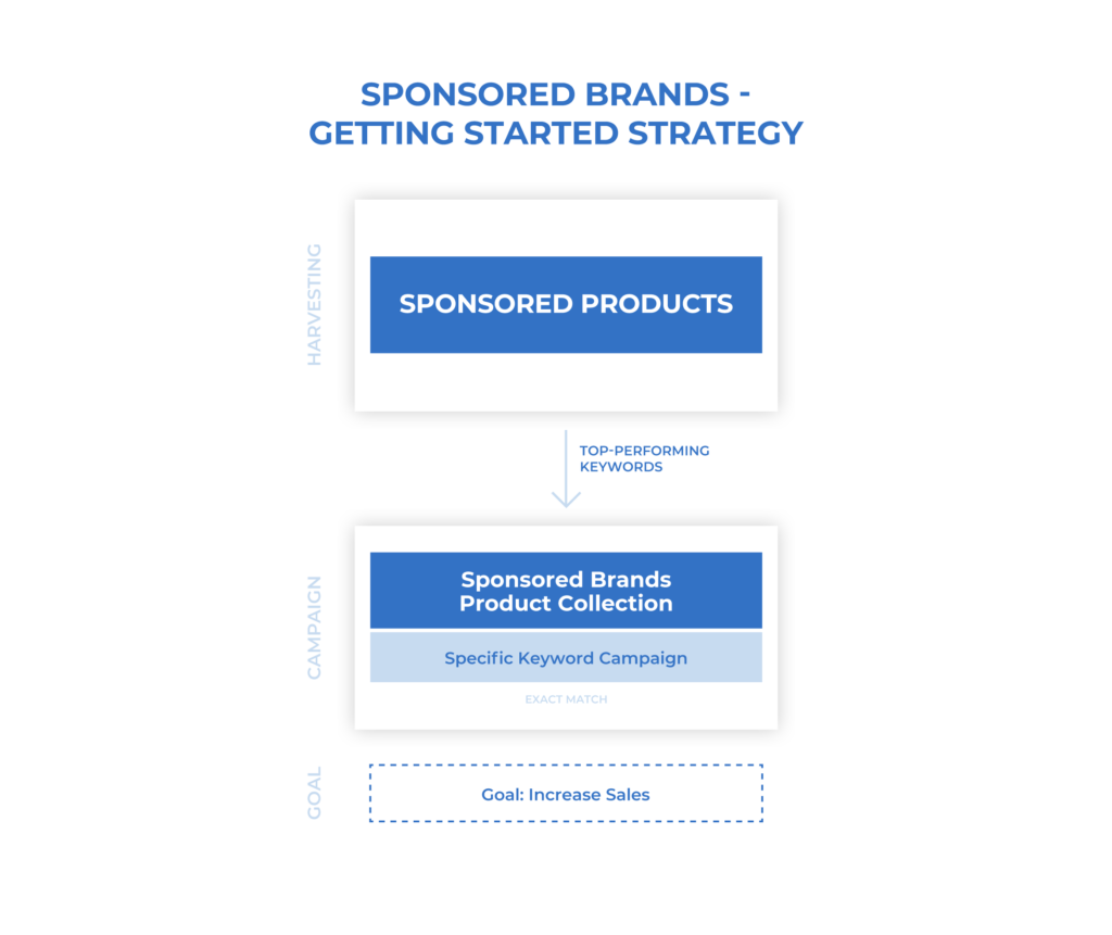 SB-assets-3-1024x861