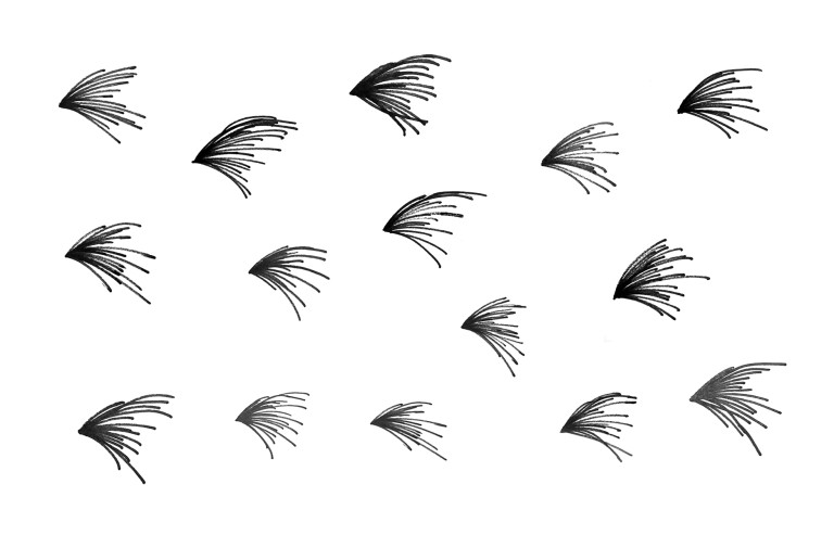 Finch head/evolution tree logo sketch exploration