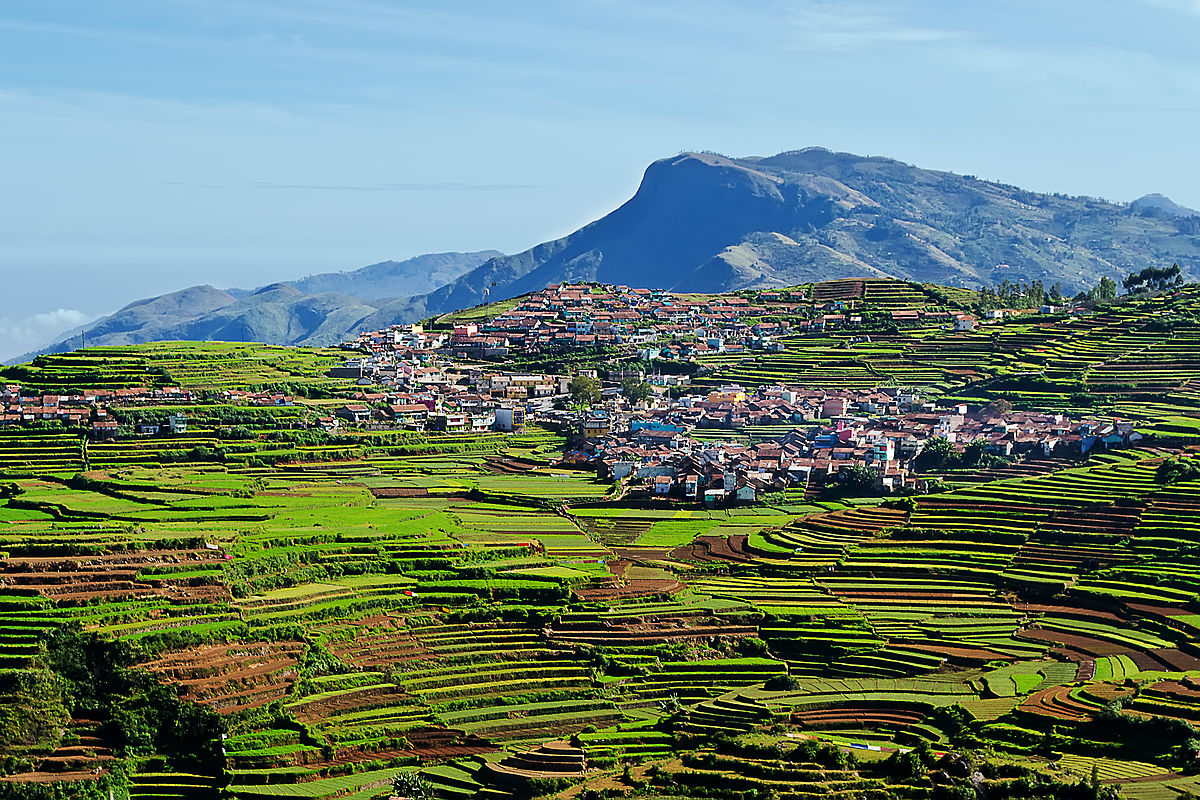 Theni