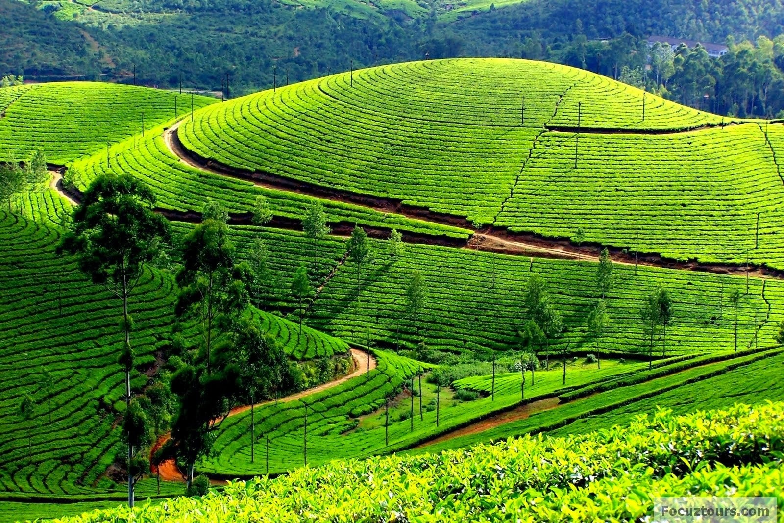 Chennai to Madurai drop taxi