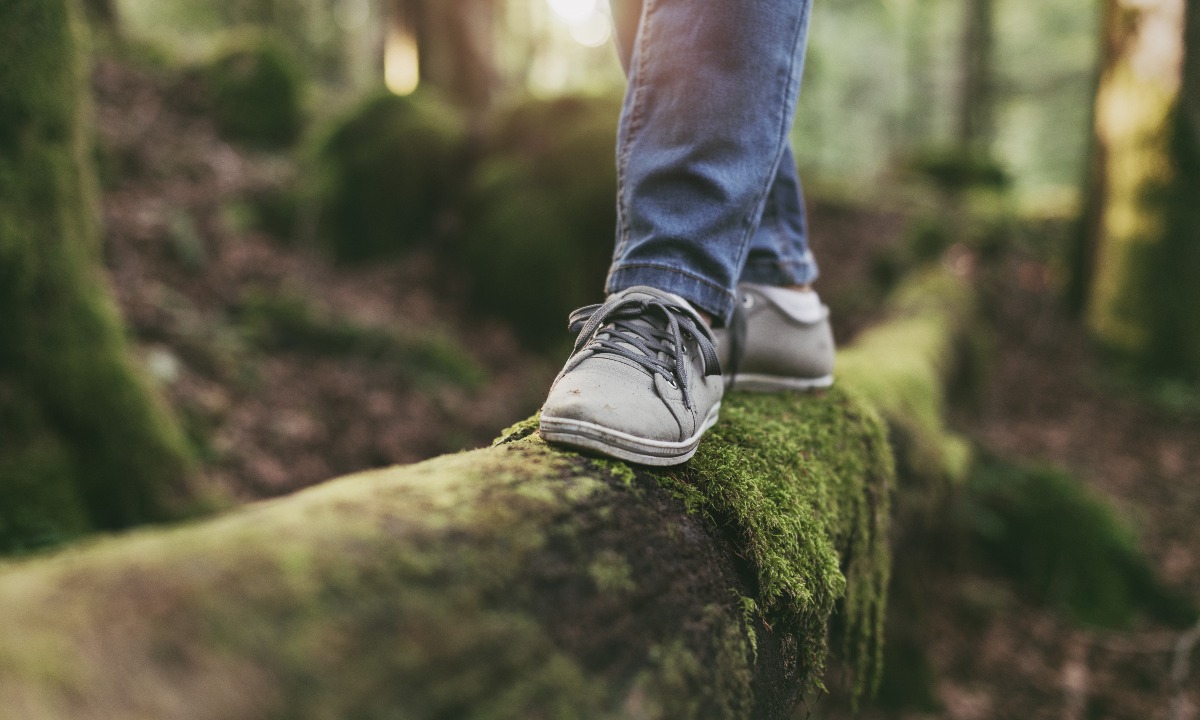 a person's legs and feet on a mossy log