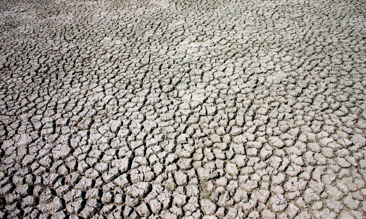 a close-up of a gravel road