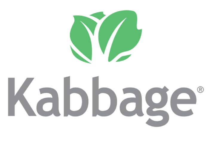 Kabbage loan online