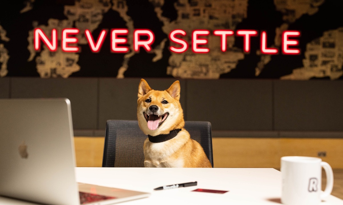 a dog sitting at a desk with a laptop and a mug