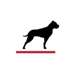 a dog standing on a red object