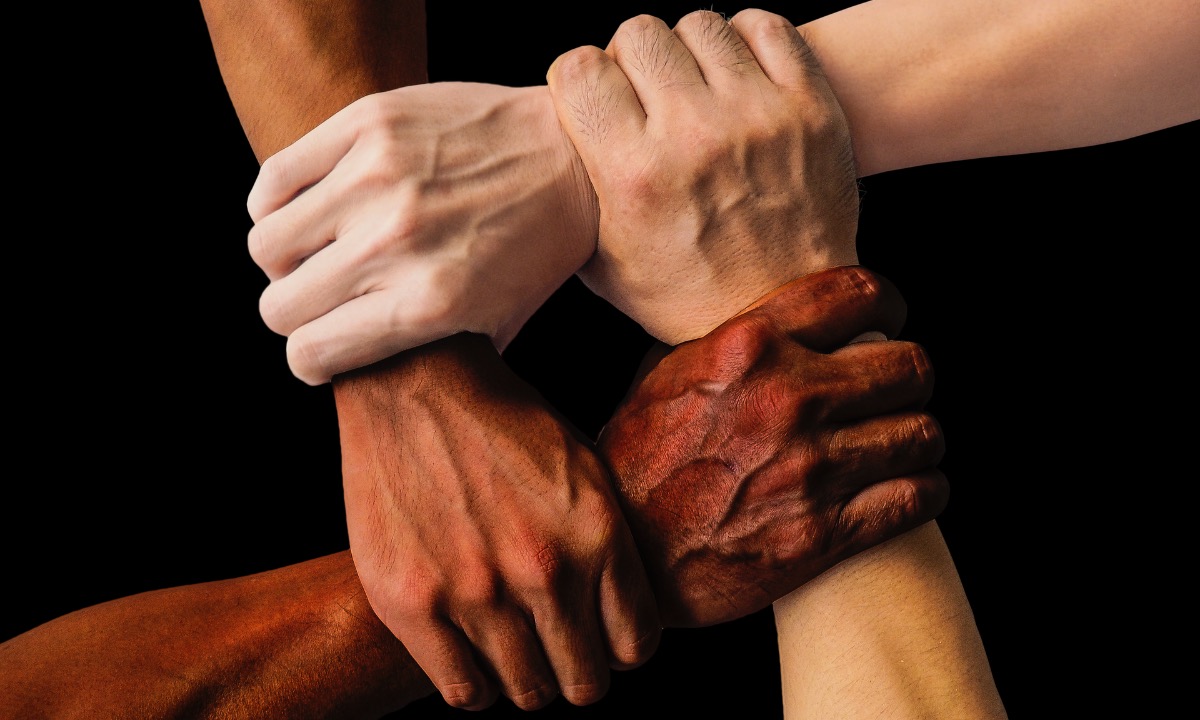 a close-up of hands holding each other