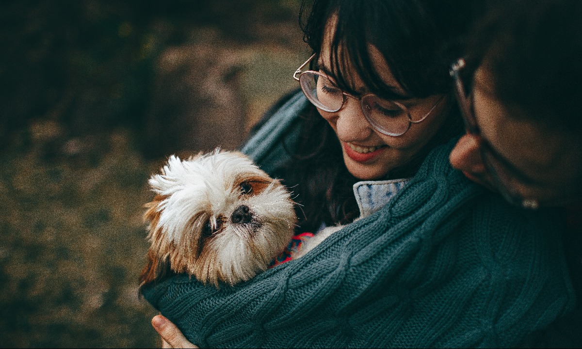 Nutmeg embraces open banking with Yolt integration AltFi