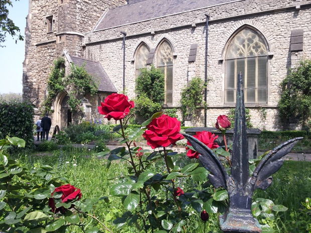 a rose bush in front of a church