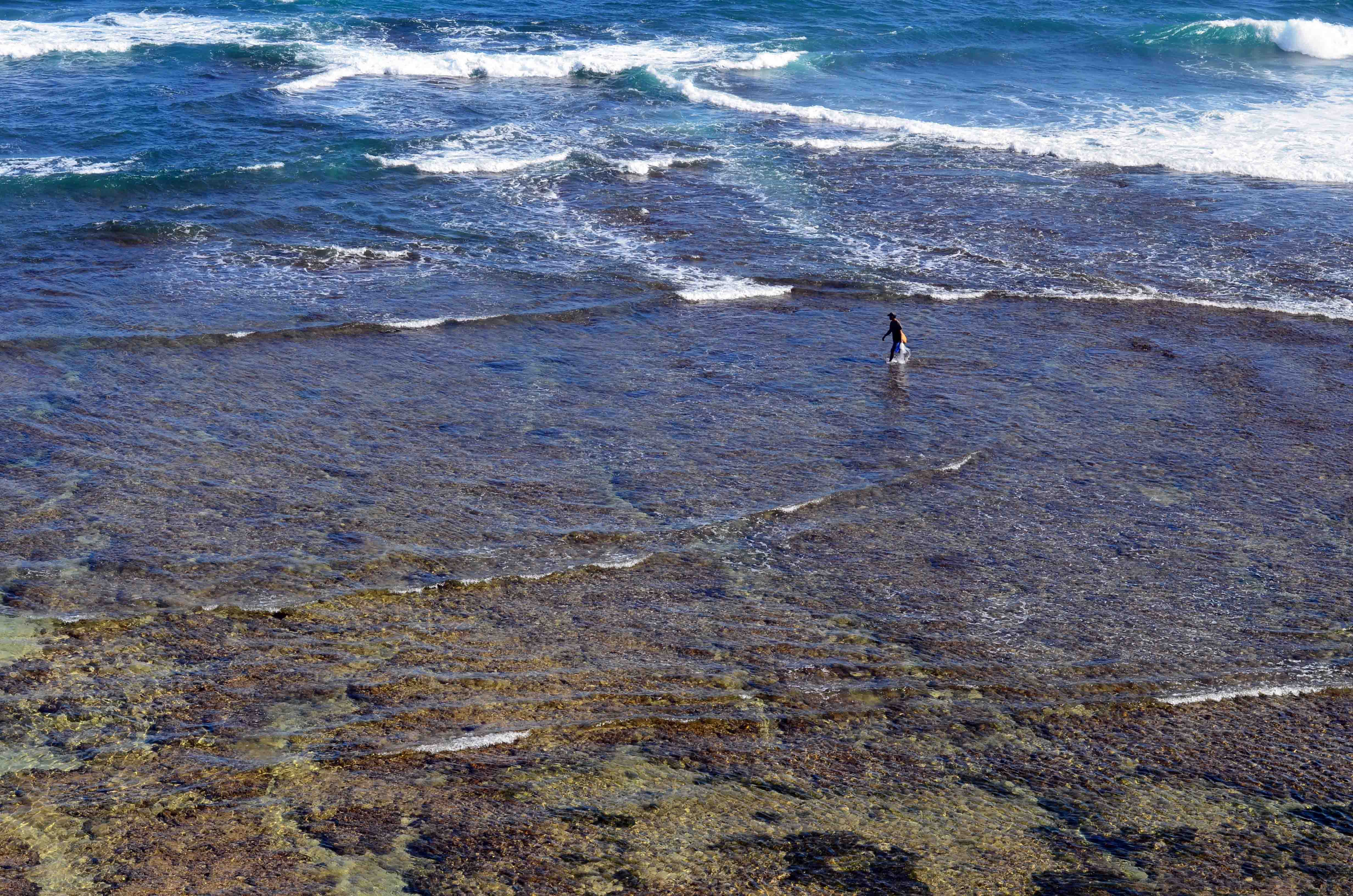 DSC_0493.jpg