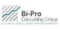 Bi-Pro Consulting