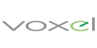Voxel logo