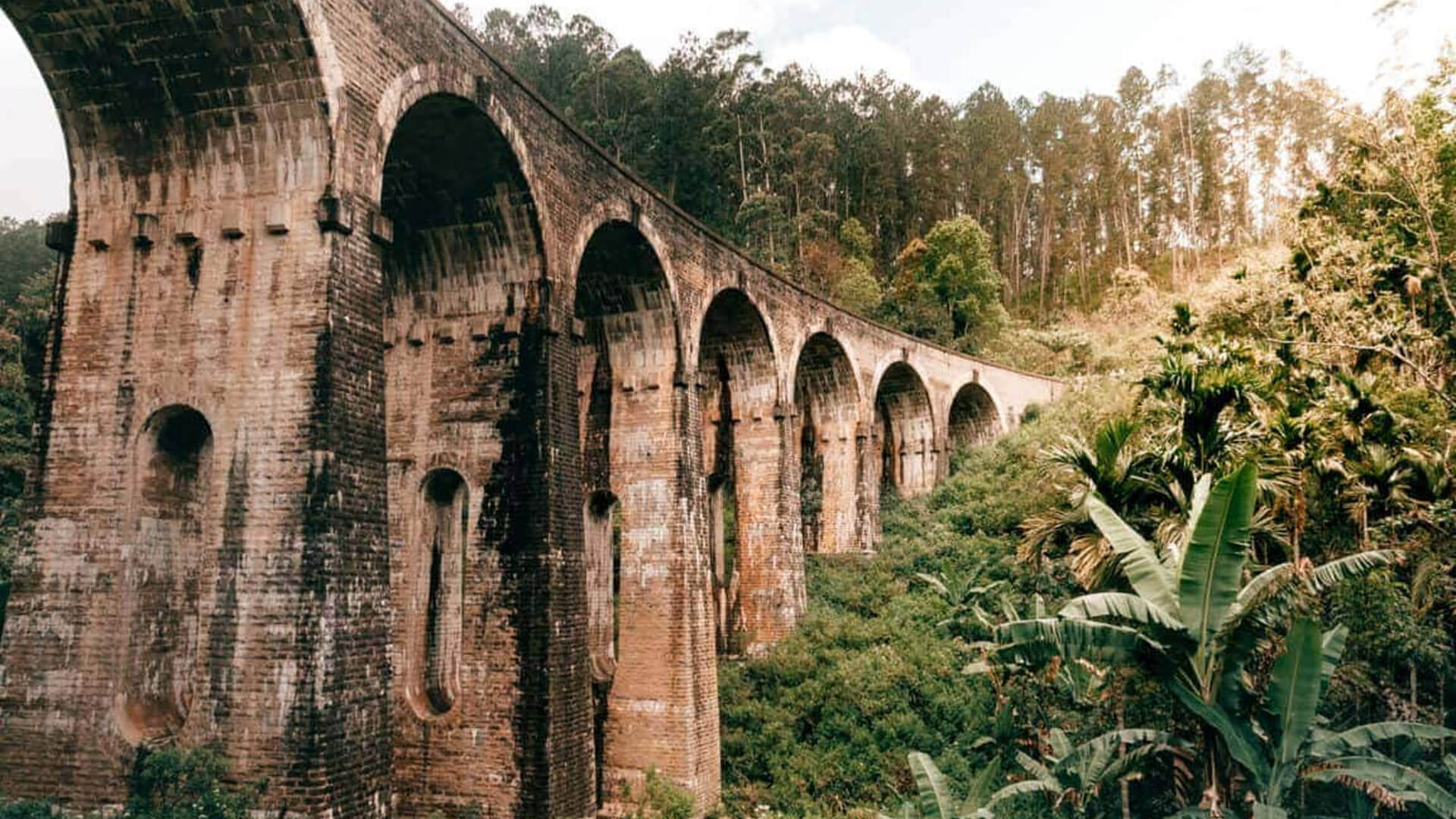 nine-arch