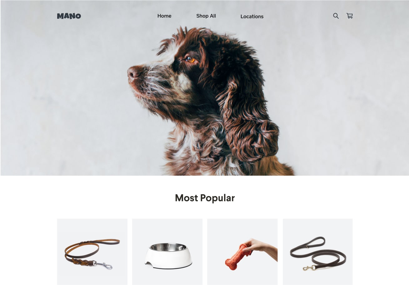 Website Templates Ecommerce Website Designs Square