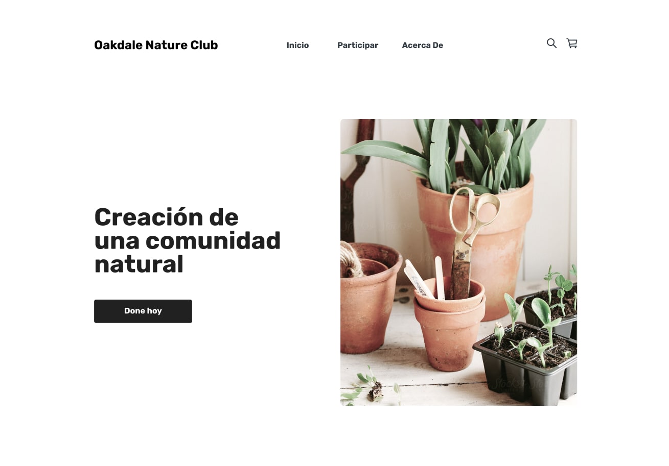 Example website
