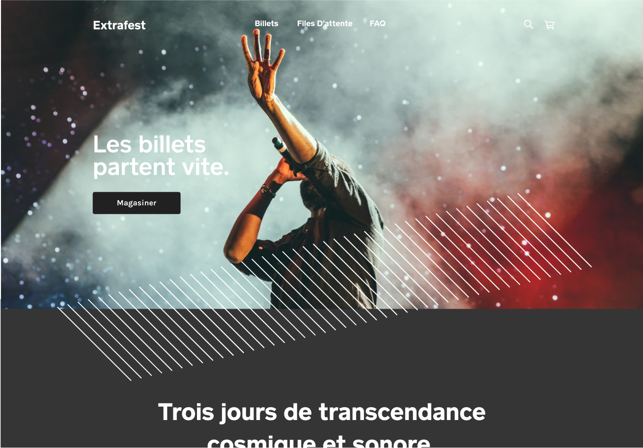 Example website