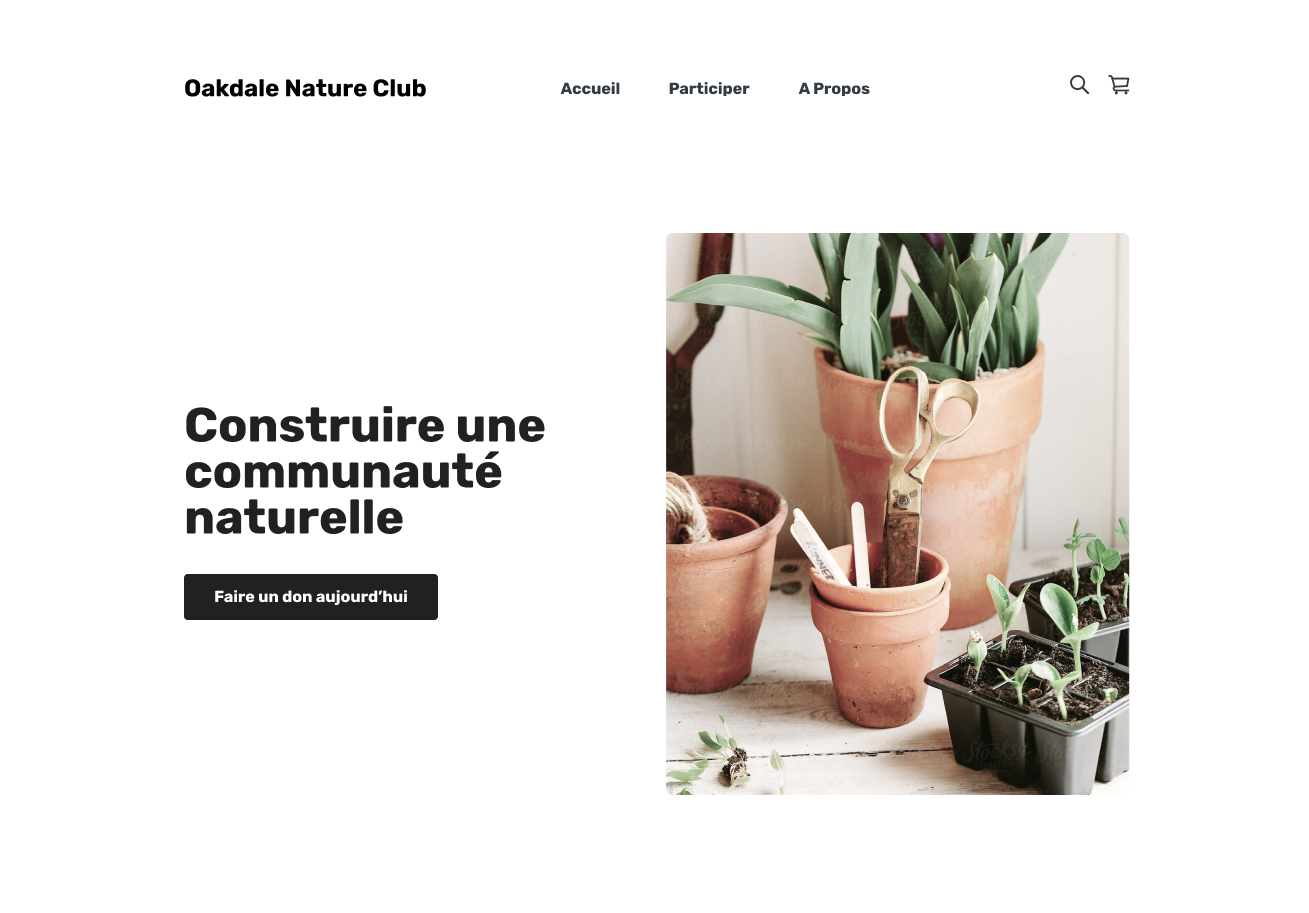 Example website