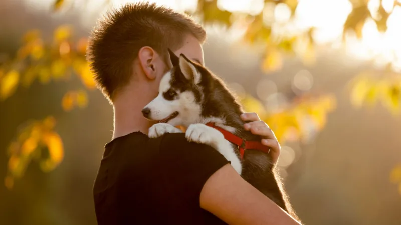 Picture of Making Your Dog’s Mental Health a Top Priority
