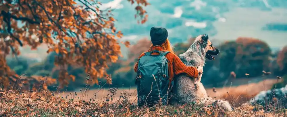 Person sitting on a mountain looking into a valley with a large dog in fall