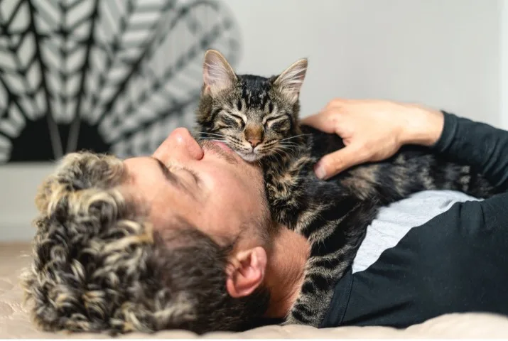 Person laying with a cat