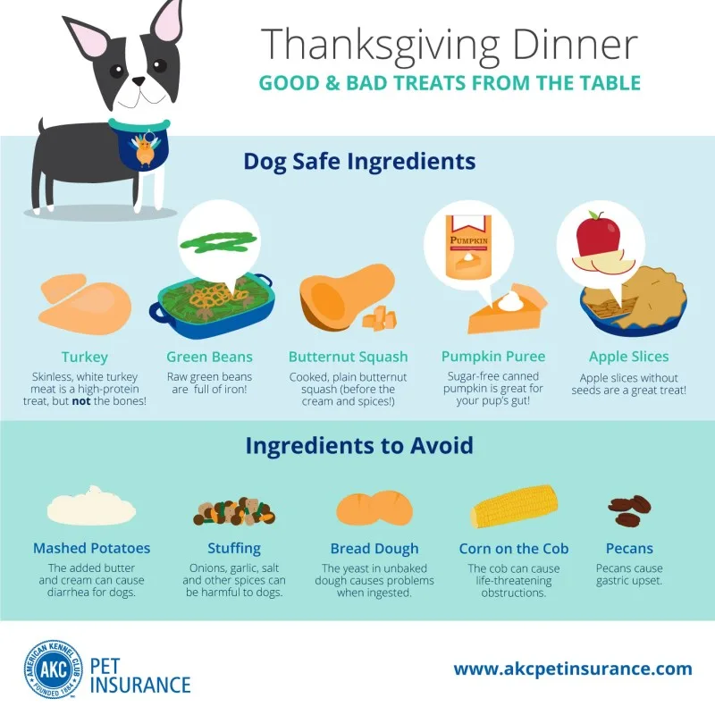 Thanksgiving dinner for dogs