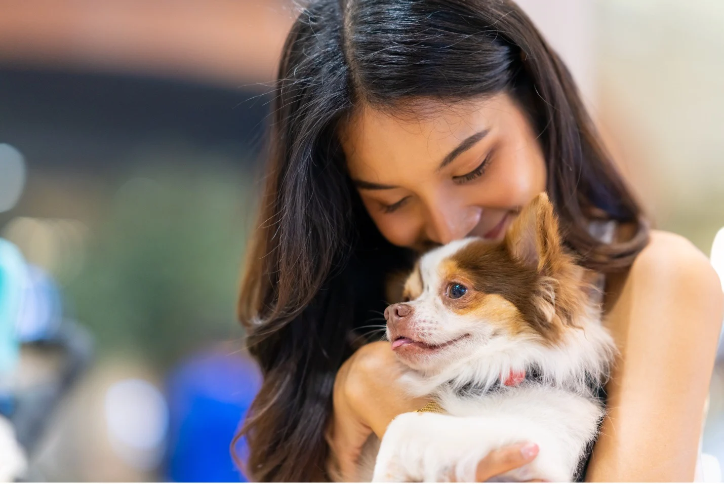 Woman hugging small brown and white dog