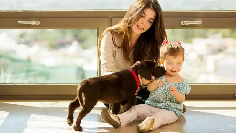 Photo of a mother and daughter with a puppy