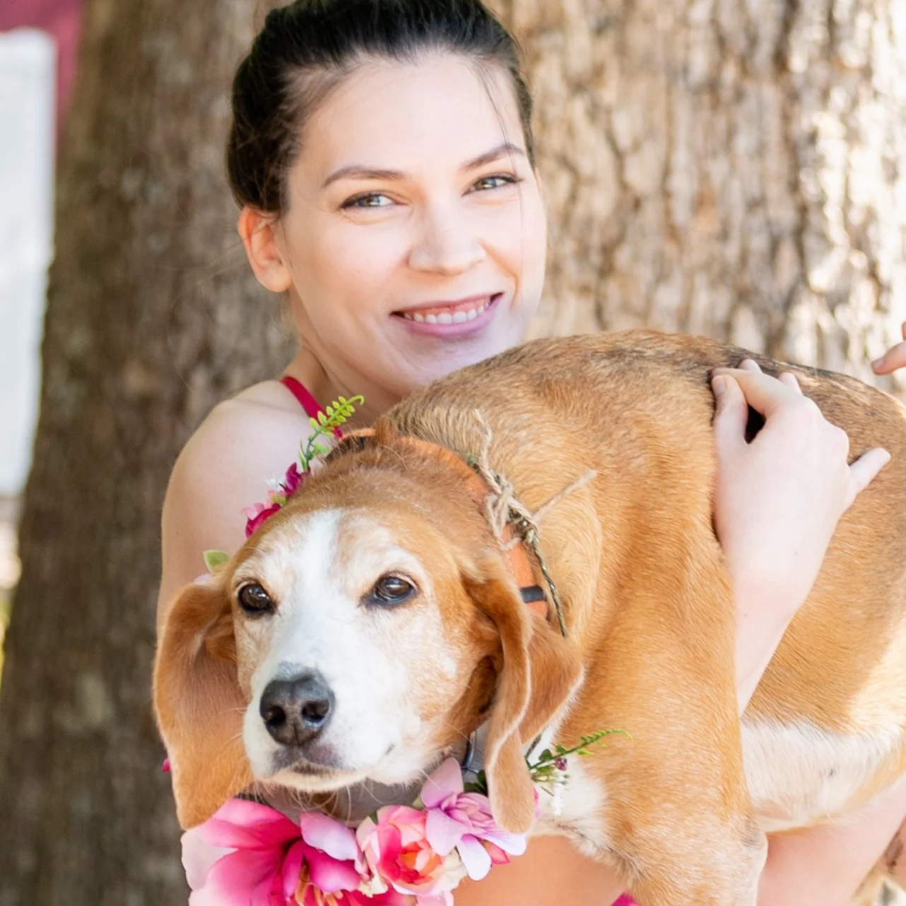 Can My Dog Get Fleas and Ticks in the Winter?