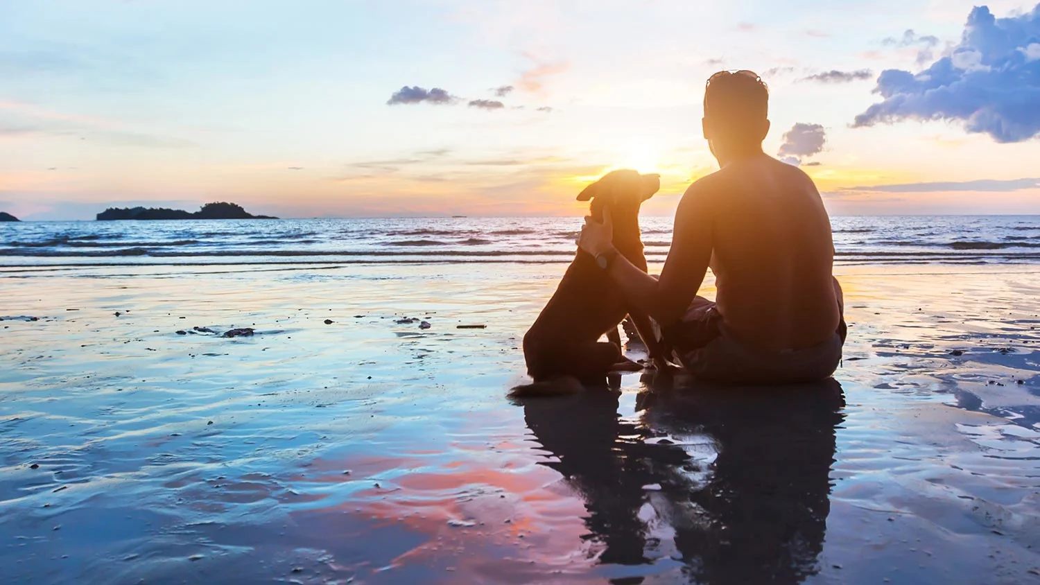 a man and a dog sitting on the seashore together, enjoying the sunset
