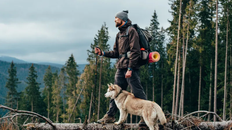 dog-hike-day-header.jpg