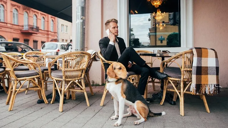 a man sitting with a dog in a cafe