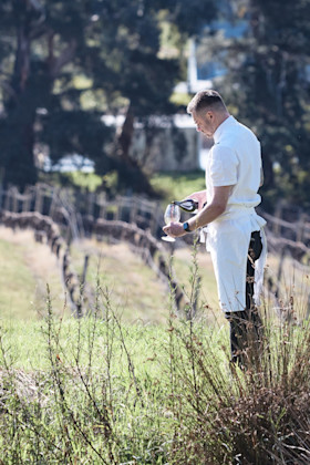 Seville Estate Cellar Door 4