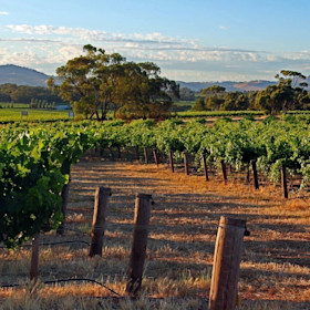 Schubert Estate Cellar Door