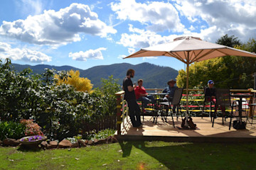 Leven Valley Vineyard Cellar Door