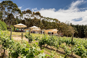 Anderson Hill Cellar Door