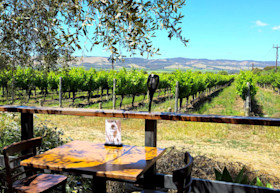 Agostino Wines Cellar Door 3