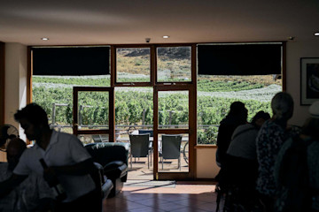 Freycinet Vineyard Cellar Door