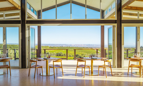 Dandelion Vineyards Cellar Door 5