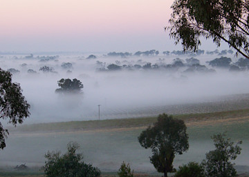 Moppity Cellar Door 3