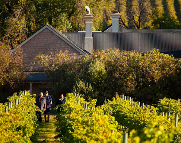 Pirramimma Winery Cellar Door 1