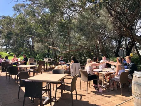 DogRidge, McLaren Vale - Book a Wine Tasting