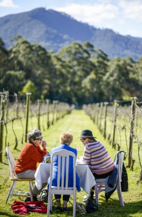 Cambewarra Estate Cellar Door 1