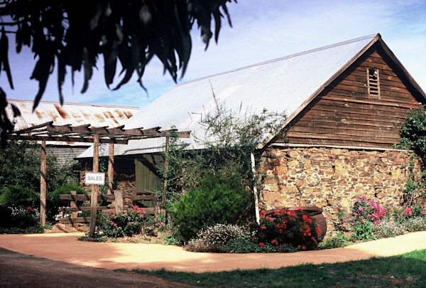 Spring Vale Vineyards Cellar Door