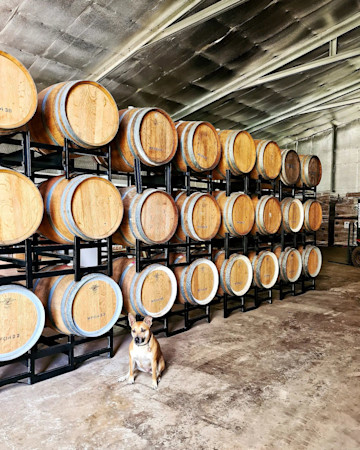 South By South West Cellar Door 1