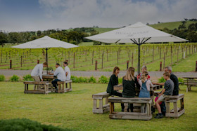 Hugo Wines Cellar Door 4