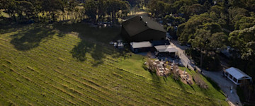 Artemis Cellar Door 5